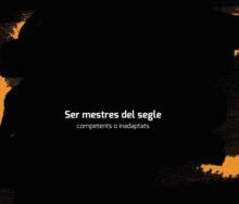 SER MESTRES COMPETENTS DEL SEGLE (Paperback)