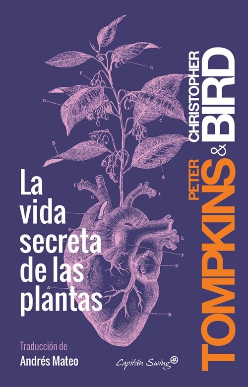 VIDA SECRETA DE LAS PLANTAS,LA (Paperback)