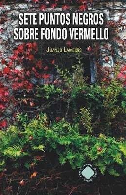 SETE PUNTOS NEGROS SOBRE FONDO VERMELLO (Paperback)