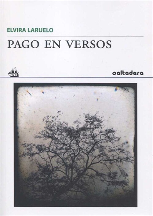 PAGO EN VERSOS (Paperback)