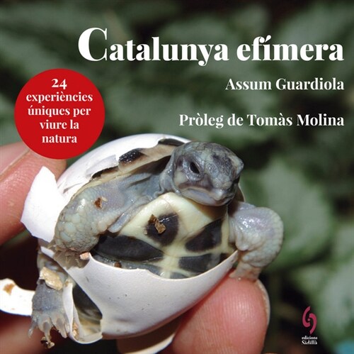 CATALUNYA EFIMERA,LA CATALAN (Other Book Format)