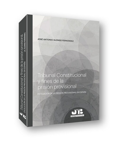 TRIBUNAL CONSTITUCIONAL Y FINES DE LA PRISION PROVISIONAL (Paperback)