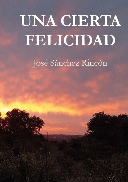 UNA CIERTA FELICIDAD (Paperback)