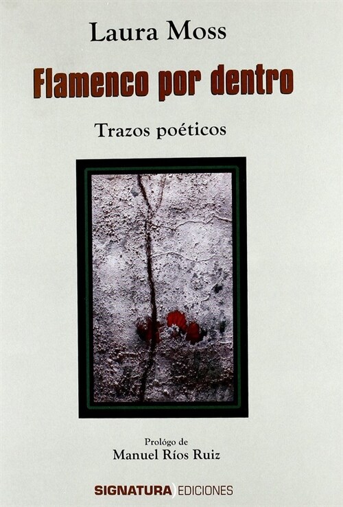 FLAMENCO POR DENTRO (Paperback)