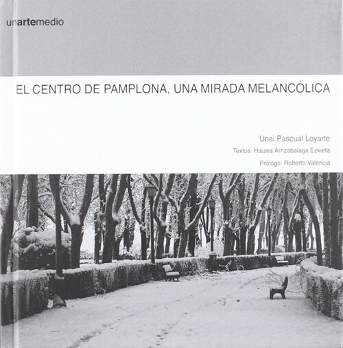 CENTRO DE PAMPLONA, UNA MIRADA MELANCOLICA,EL (Book)