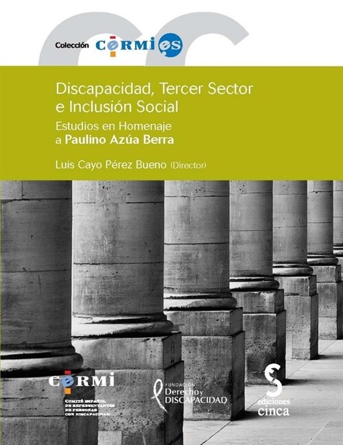 DISCAPACIDAD TERCER SECTOR E INCLUSION SOCIAL (Book)
