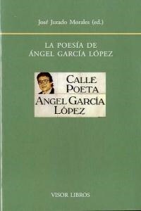 POESIA DE ANGEL GARCIA LOPEZ (Other Book Format)