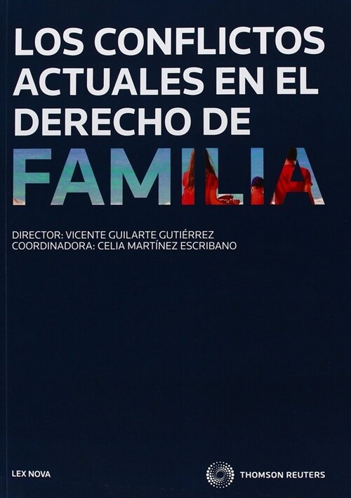 CONFLICTOS ACTUALES EN DERECHO DE FAMILIA,LOS (Book)