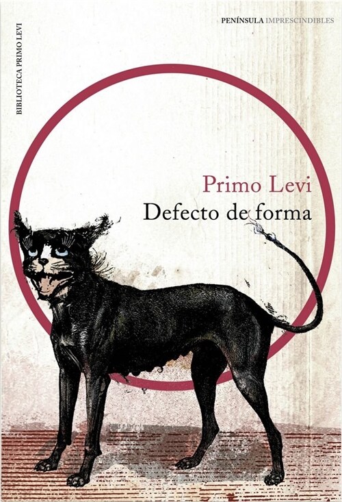 DEFECTO DE FORMA (Paperback)