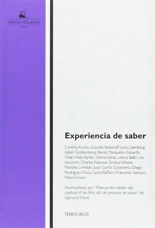 EXPERIENCIA DE SABER (Paperback)