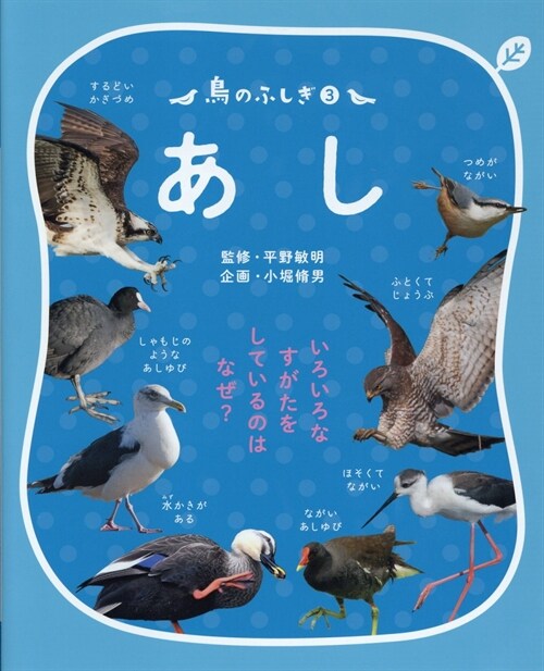 鳥のふしぎ (3)