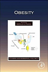 Obesity: Volume 91 (Hardcover)