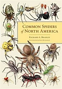 Common Spiders of North America (Hardcover)