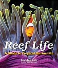 Reef Life: A Guide to Tropical Marine Life (Paperback)