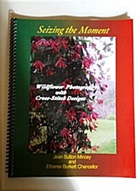 Seizing the Moment (Paperback)