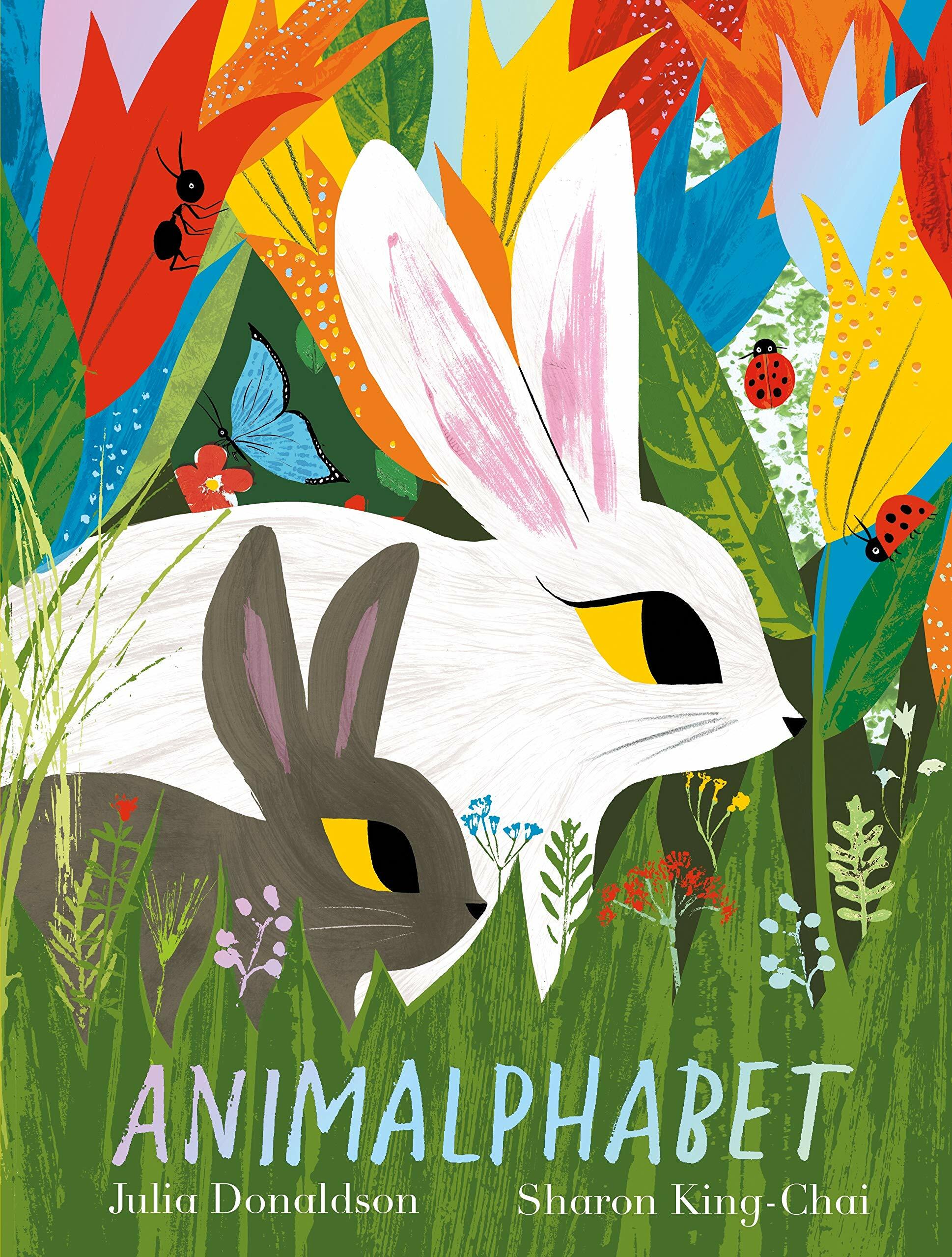 [중고] Animalphabet : A lift-the-flap ABC book from the author of The Gruffalo (Paperback)