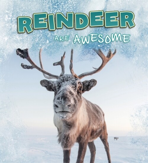 REINDEER ARE AWESOME (Paperback)