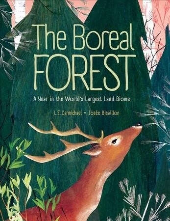 The Boreal Forest: A Year in the Worlds Largest Land Biome (Hardcover)