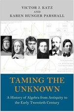 Taming the Unknown: A History of Algebra from Antiquity to the Early Twentieth Century (Paperback)