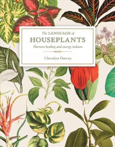 The Language of Houseplants: Plants for Home and Healing (Paperback)