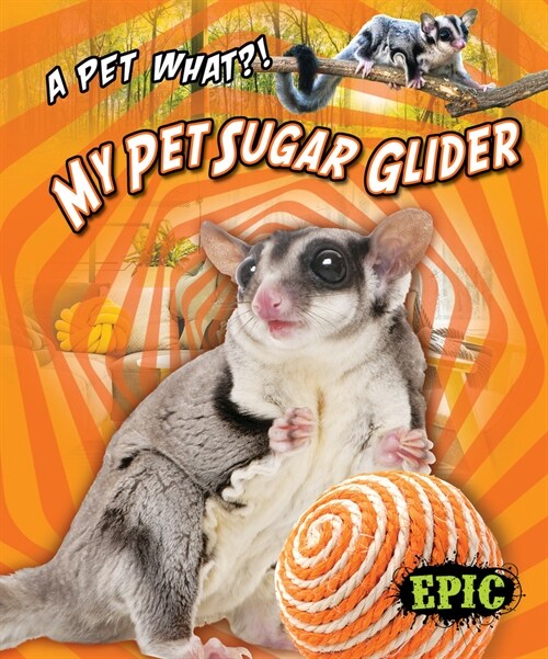 My Pet Sugar Glider (Library Binding)