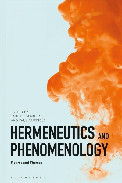 Hermeneutics and Phenomenology : Figures and Themes (Paperback)