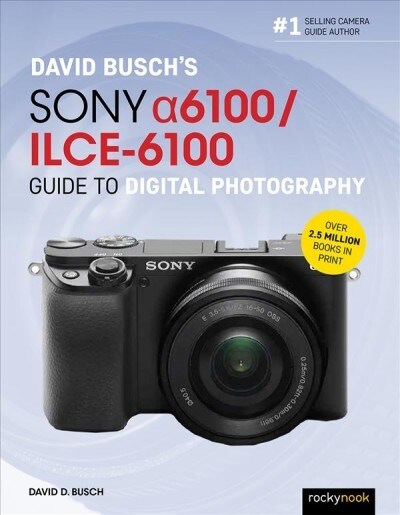 David Buschs Sony Alpha A6100/Ilce-6100 Guide to Digital Photography (Paperback)