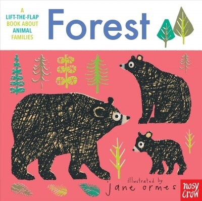 Animal Families: Forest (Board Books)