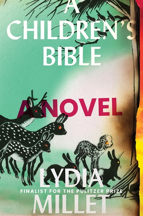 A Childrens Bible (Hardcover)