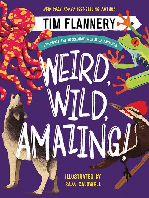 Weird, Wild, Amazing!: Exploring the Incredible World of Animals (Hardcover)