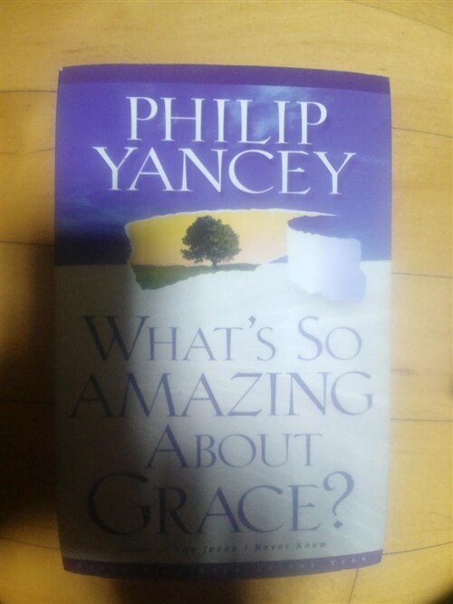 [중고] What‘s So Amazing about Grace? (Paperback, Revised)