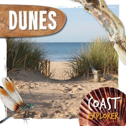 Dunes (Hardcover)