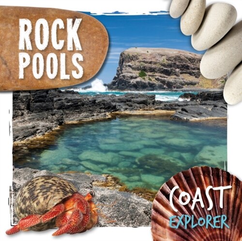 Rock Pools (Hardcover)