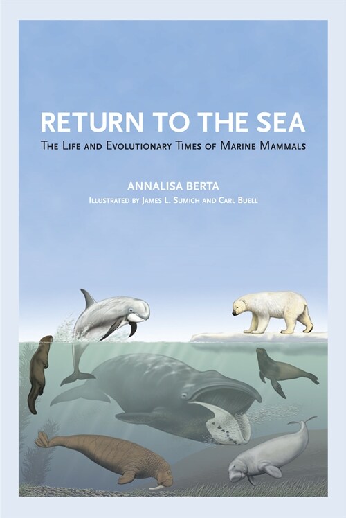 Return to the Sea: The Life and Evolutionary Times of Marine Mammals (Paperback)