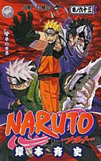 Naruto V63 (Paperback)