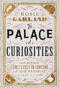 Palace of Curiosities (Hardcover)