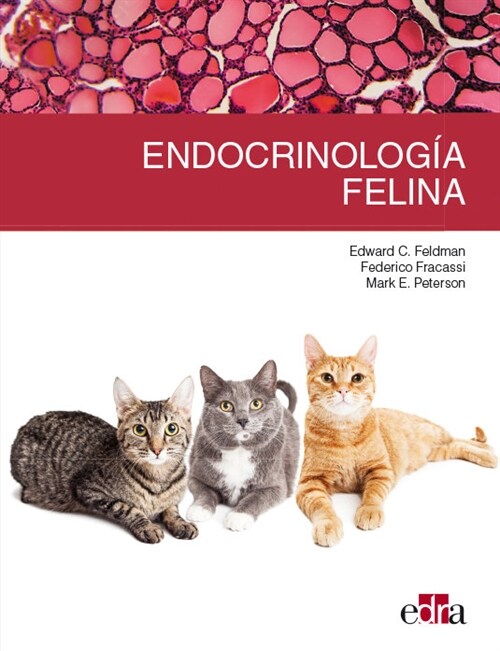 ENDOCRINOLOGIA FELINA (Hardcover)