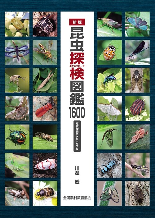 昆蟲探檢圖鑑1600