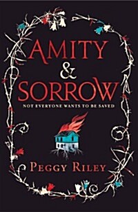 Amity & Sorrow (Hardcover)