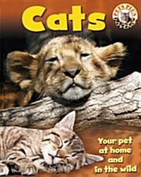 Pets Plus: Cats (Paperback)