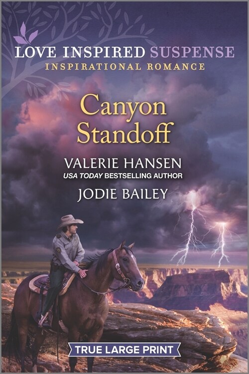 Canyon Standoff (Paperback, Original)
