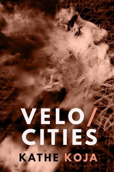 Velocities: Stories (Paperback)