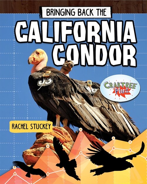 Bringing Back the California Condor (Library Binding)
