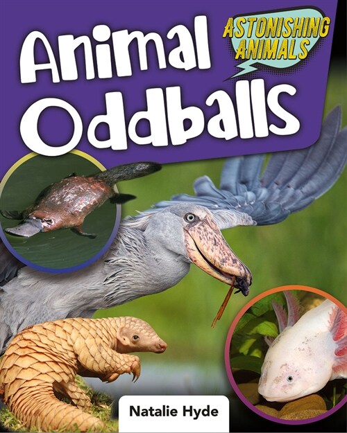 Animal Oddballs (Library Binding)