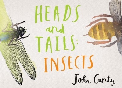 Heads and Tails: Insects (Hardcover)