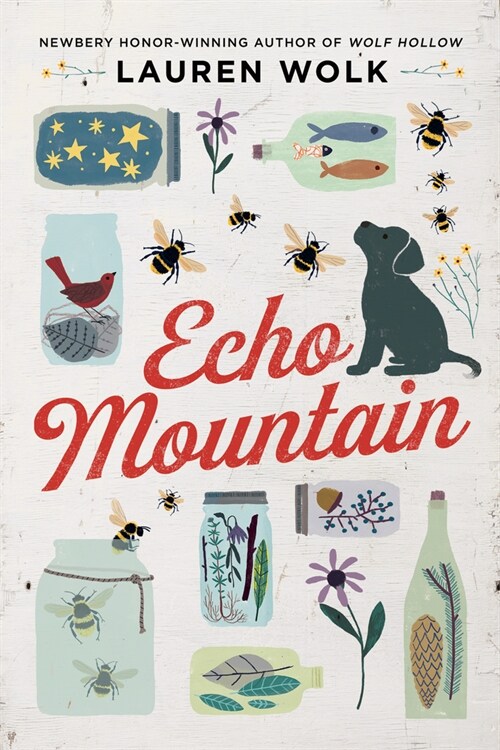 Echo Mountain (Hardcover)