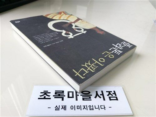 [중고] 플라톤은 아팠다