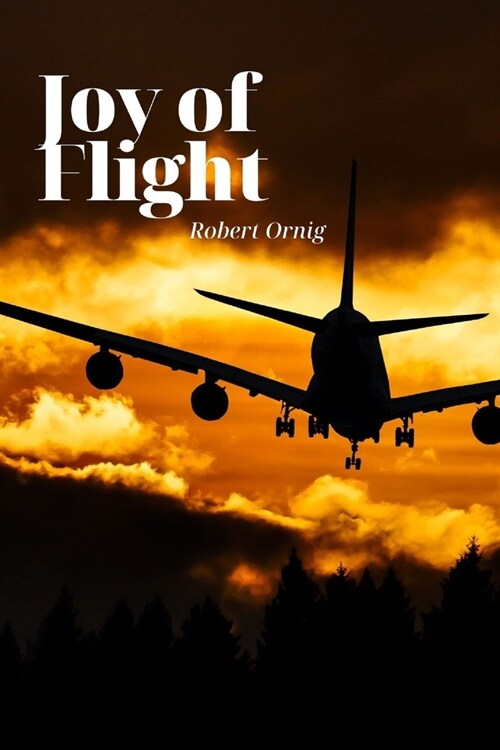 Joy of Flight (Paperback)