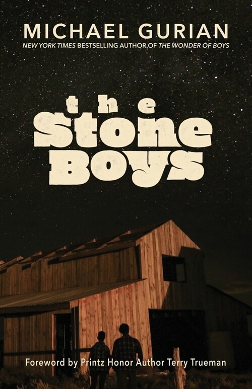 The Stone Boys (Paperback)