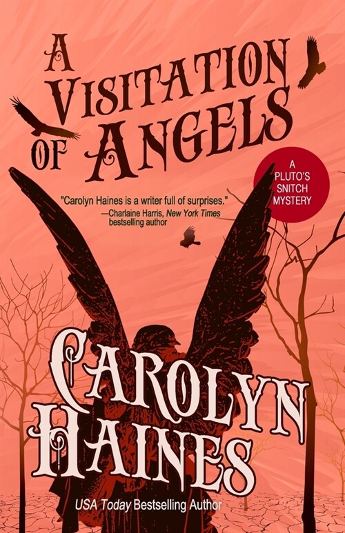 A Visitation of Angels (Paperback)